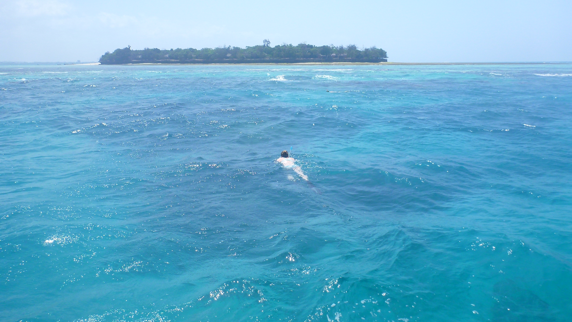 Stone Town & Prison Island in Zanzibar