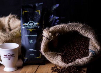 Kiburi Home Tour – Kirinyaga