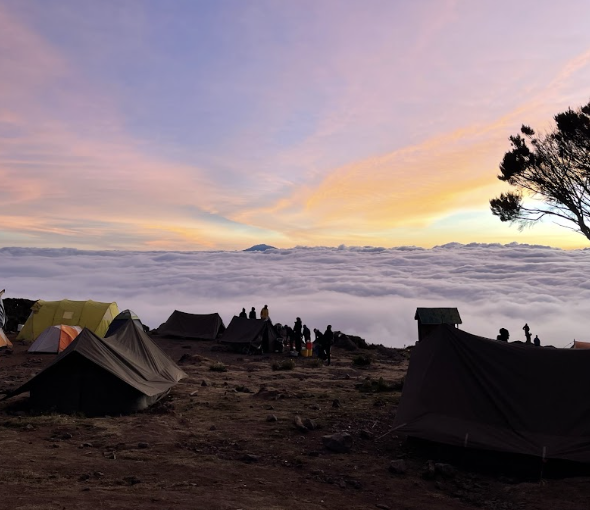 Camping Safari and Culture 9 Day Experience