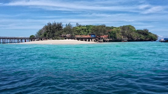 Stonetown tours and Prison island tours