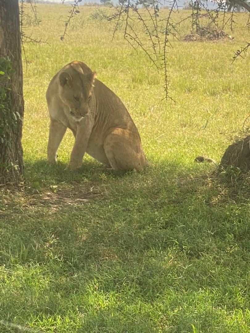 Tarangire National Park