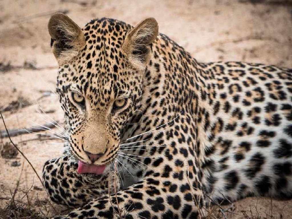 Day trip -  Arusha National Park