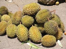 Spice tours in Zanzibar island